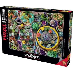 Puzzle Anatolian de 1000 piezas Macetas de cactus 1122