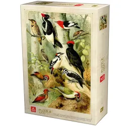 Puzzle Deico Enciclopedia de pájaros carpinteros de 1000 piezas 75994
