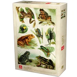 Puzzle Deico Enciclopedia de ranas de 1000 piezas 75703