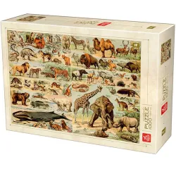 Puzzle Deico Enciclopedia animales salvajes de 1000 piezas 76793