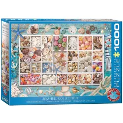 Puzzle Eurographics 1000 piezas Colección de conchas de Laura 6000-5529
