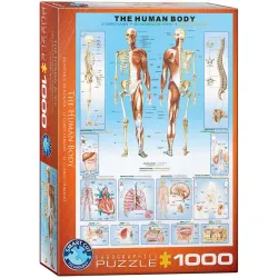 Puzzle Eurographics 1000 piezas El cuerpo humano 6000-1000
