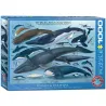 Puzzle Eurographics 1000 piezas Ballenas y delfines 6000-0082