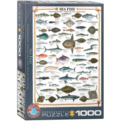 Puzzle Eurographics 1000 piezas Peces marinos 6000-0313