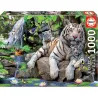 Educa puzzle 1000. Tigres blancos de Begala 14808