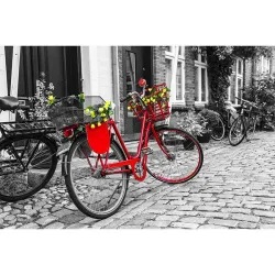 Puzzle Nova Bicicleta Roja de 1000 piezas