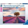 Ravensburger puzzle 1000 piezas Campos de lavanda 167241