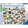 Ravensburger puzzle 1500 piezas Collage de animales divertidos 167111