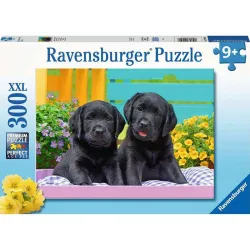 Ravensburger puzzle 300 piezas XXL Vida de perritos 129508