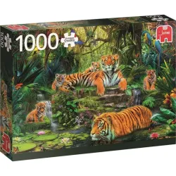 Puzzle Jumbo Familia de tigres de 1000 Piezas 17245