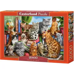 Puzzle Castorland Casa de los gatos de 2000 piezas C-200726