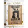 Puzzle Harry Potter Indeseable Nº1 de 1000 piezas