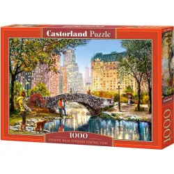 Puzzle Castorland Paseo nocturno por Central Park de 1000 piezas C-104376