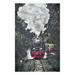 Puzzle Pintoo El tren de vapor, Suiza de 600 piezas H2159