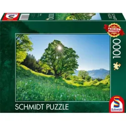 Puzzle Schmidt Arce sicómoro bajo la luz del sol – St. Gallen, Suiza de 1000 piezas 59761
